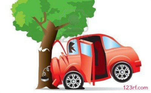 Tree crashes are not covered in standard insurance